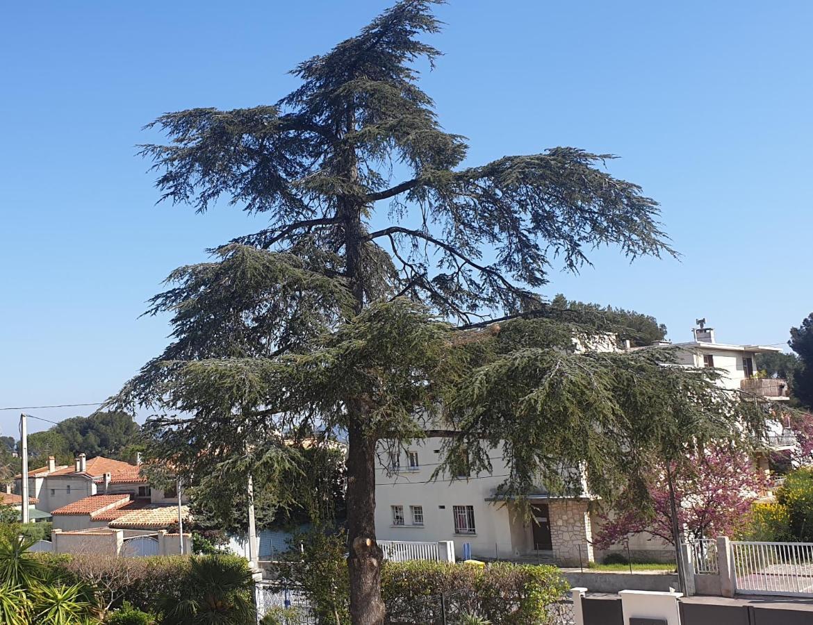 Ferienwohnung Les Vagues Bleues La Ciotat Exterior foto